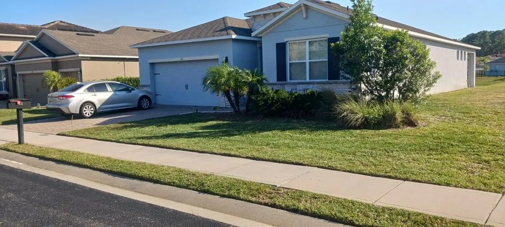 Local yard cleanup service in Haines City, FL by Radamez Pro Services