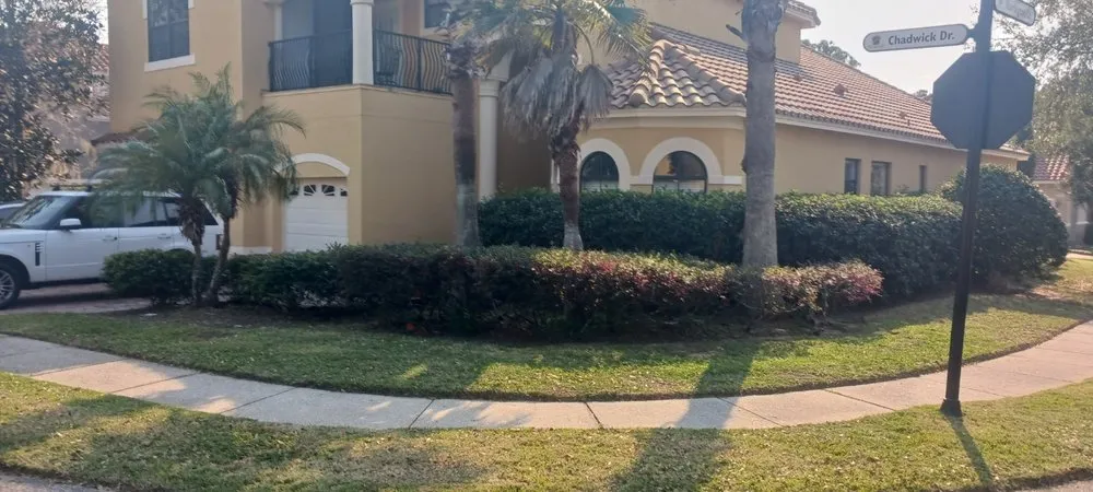 Professional yard maintenance experts serving Haines City, FL - Radamez Pro Services