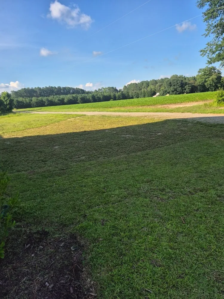 Affordable yard cleanup service in Fayetteville, NC by Radbrick Lawn Care