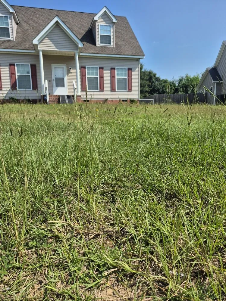 Affordable landscape design experts serving Fayetteville, NC - Radbrick Lawn Care