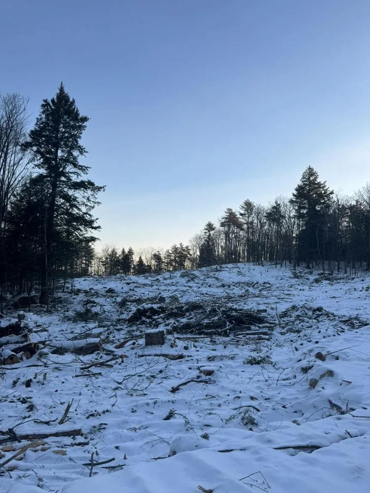 Custom garden landscaping in Mont Vernon, NH - Radford Industries