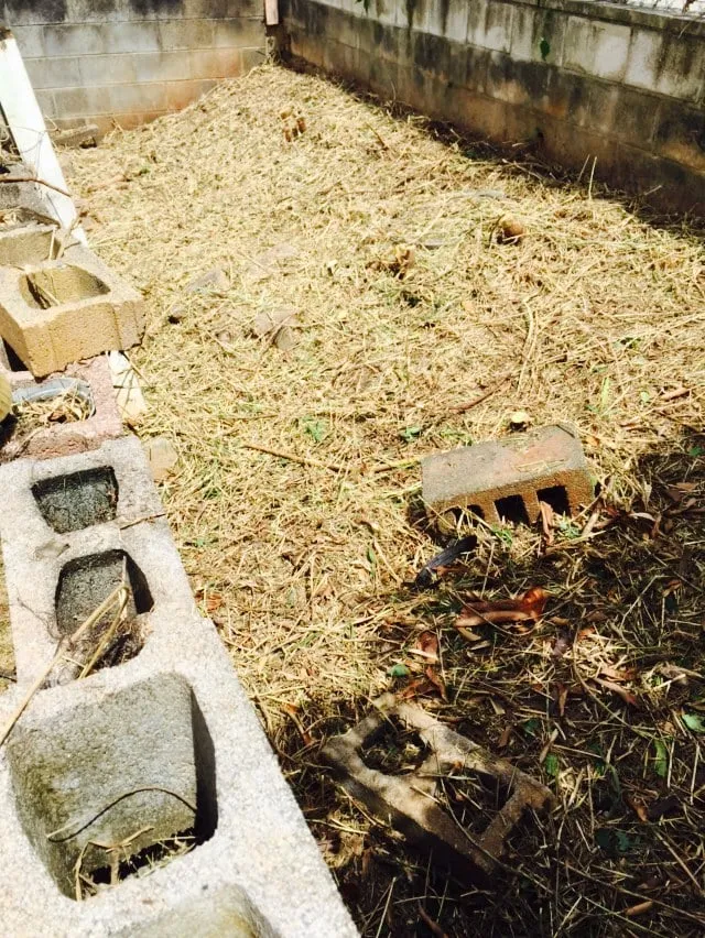 Reliable landscaping services for year-round maintenance in Honolulu, HI by Radford Yard Service