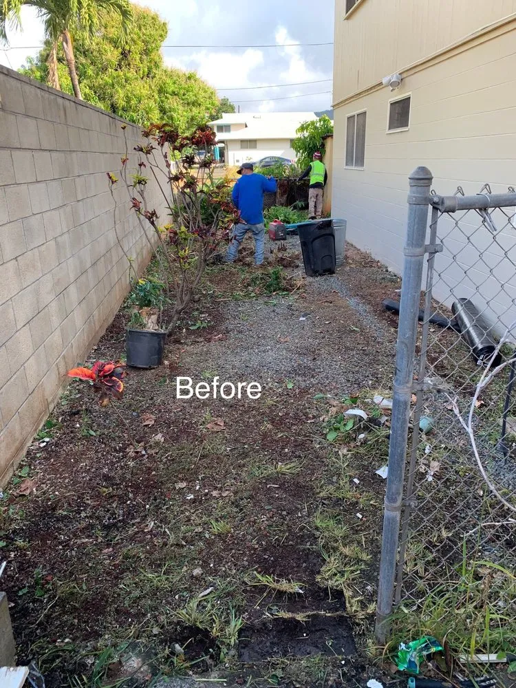 Local residential landscaping for homes in Honolulu, HI by Radford Yard Service