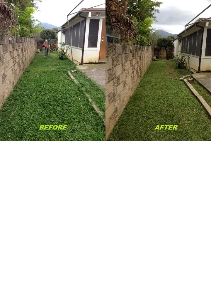 Custom landscape installation experts serving Honolulu, HI - Radford Yard Service