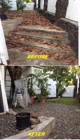 Reliable lawn care service in Honolulu, HI - Radford Yard Service