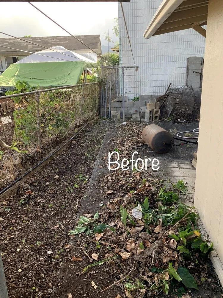 Local landscape design in Honolulu, HI - Radford Yard Service