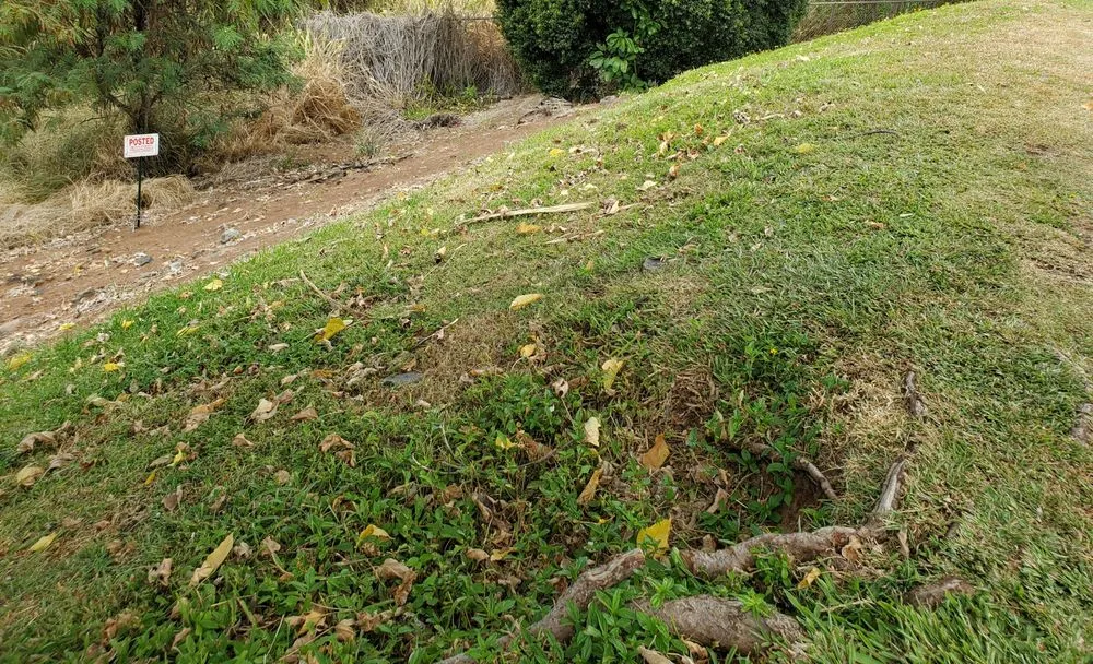 Affordable landscape design for residential properties across Honolulu, HI - Radford Yard Service