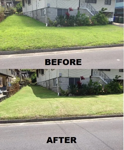 Affordable lawn care service in Honolulu, HI by Radford Yard Service