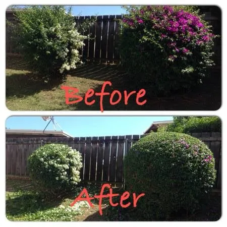 Reliable landscaping services for outdoor upgrades in Honolulu, HI by Radford Yard Service