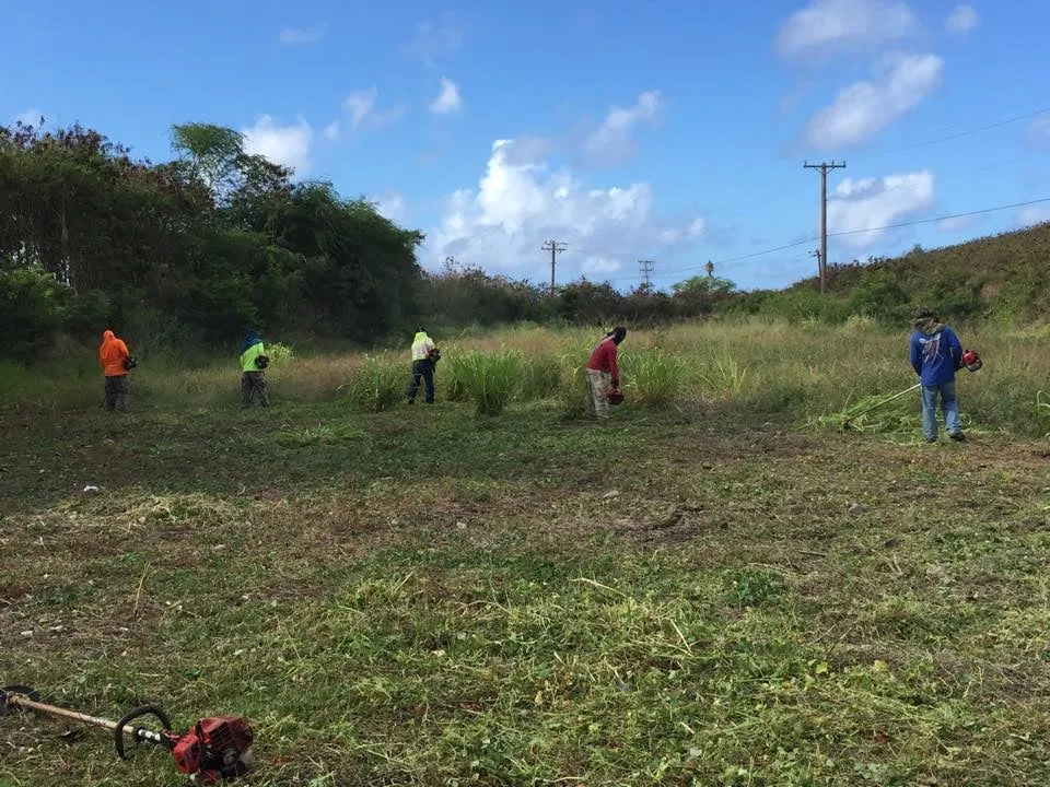 Top-rated garden landscaping experts serving Honolulu, HI - Radford Yard Service