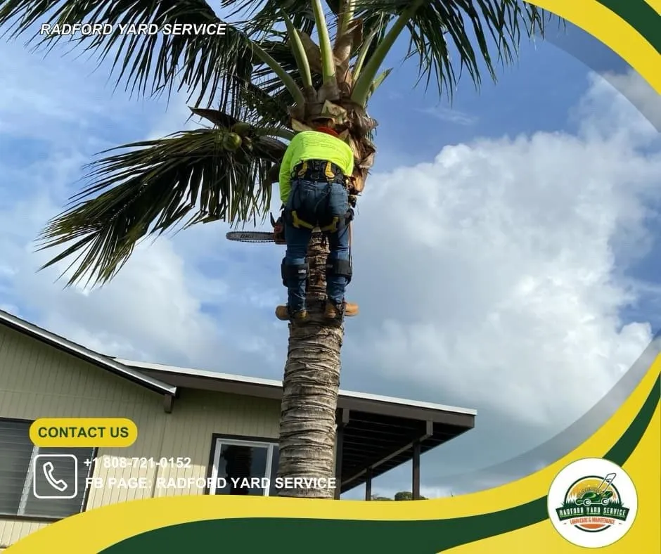 Affordable outdoor landscaping in Honolulu, HI - Radford Yard Service