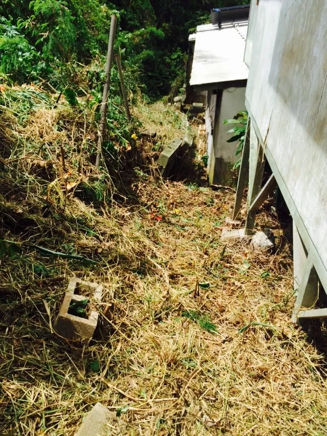 Expert outdoor landscaping in Honolulu, HI - Radford Yard Service