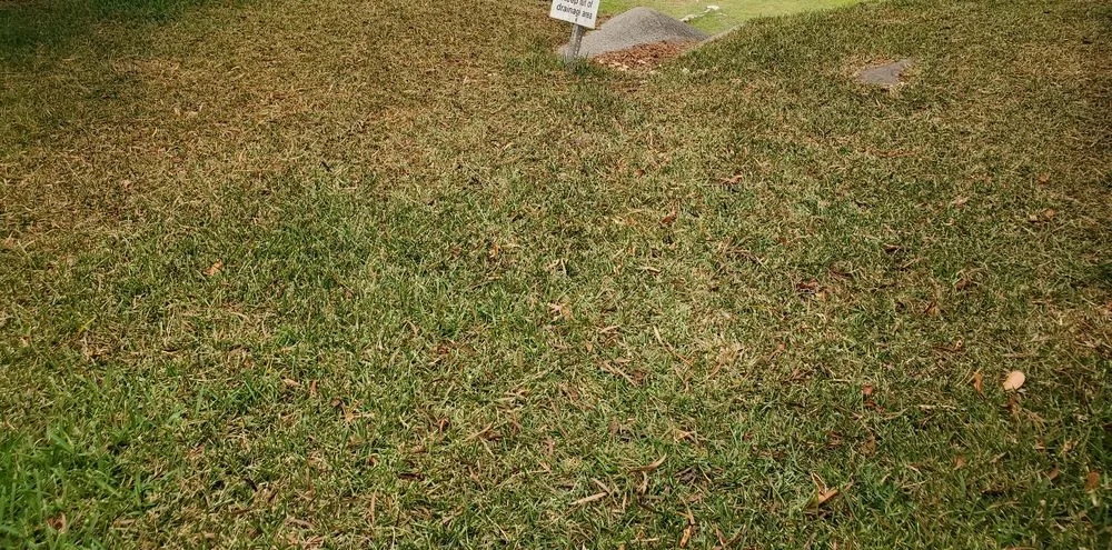 Top-rated yard cleanup service in Honolulu, HI - Radford Yard Service