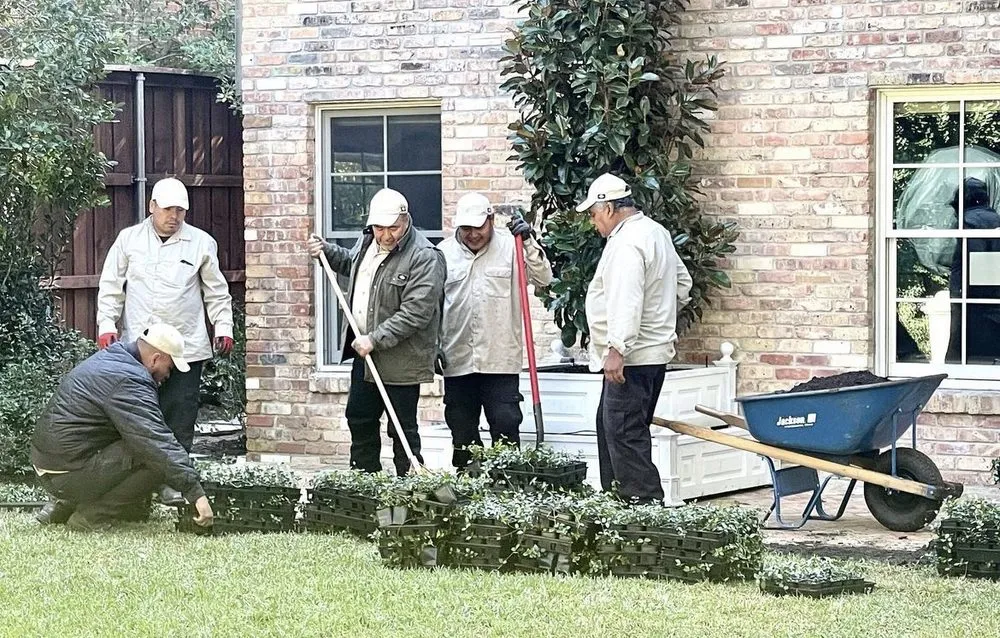 Top-rated garden landscaping for residential properties in Dallas, TX by Radiant Gardens Dallas