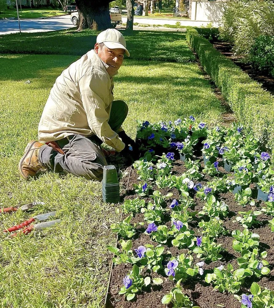 Local landscaping services in Dallas, TX by Radiant Gardens Dallas