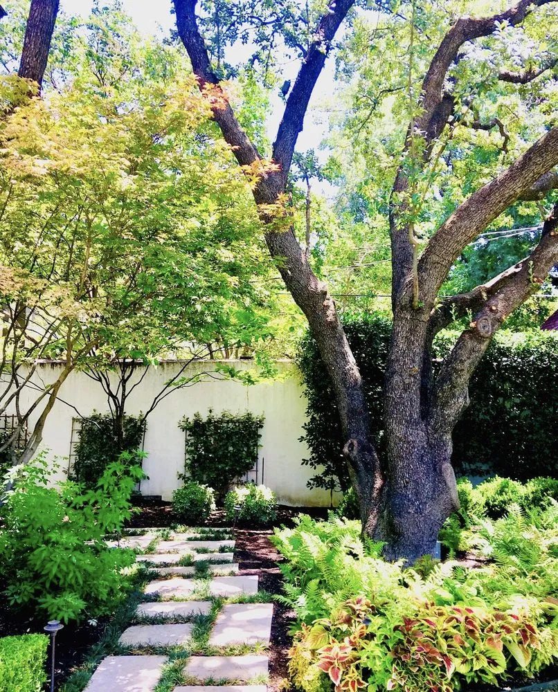 Professional outdoor landscaping in Dallas, TX by Radiant Gardens Dallas