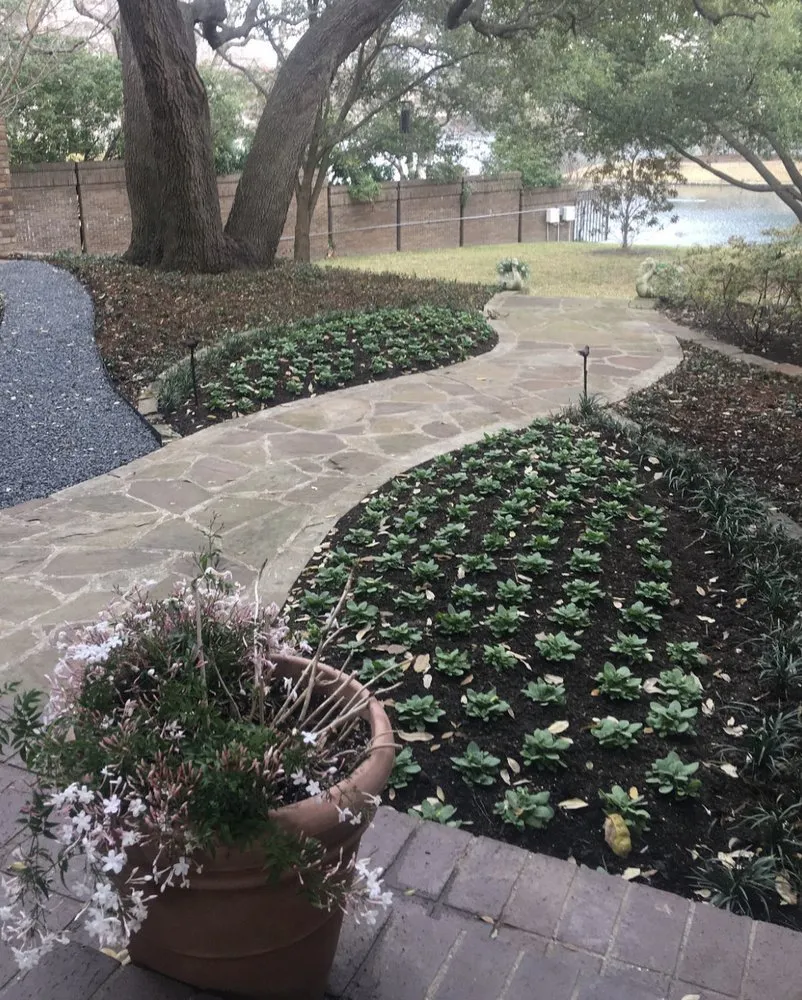 Trusted lawn care service for residential properties across Dallas, TX - Radiant Gardens Dallas