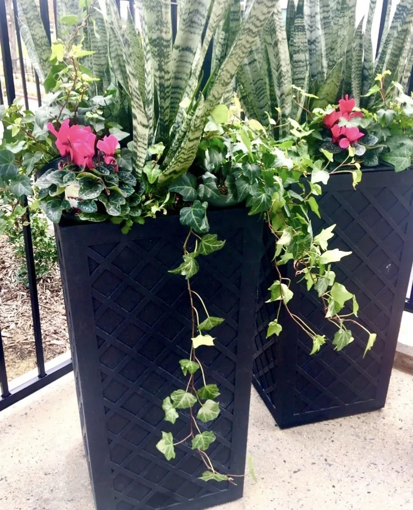 Affordable lawn mowing service in Dallas, TX - Radiant Gardens Dallas