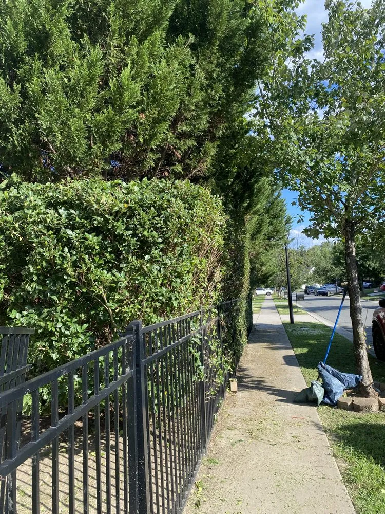 Affordable outdoor landscaping experts serving Huntersville, NC - Radiant Hill Hard Landscape