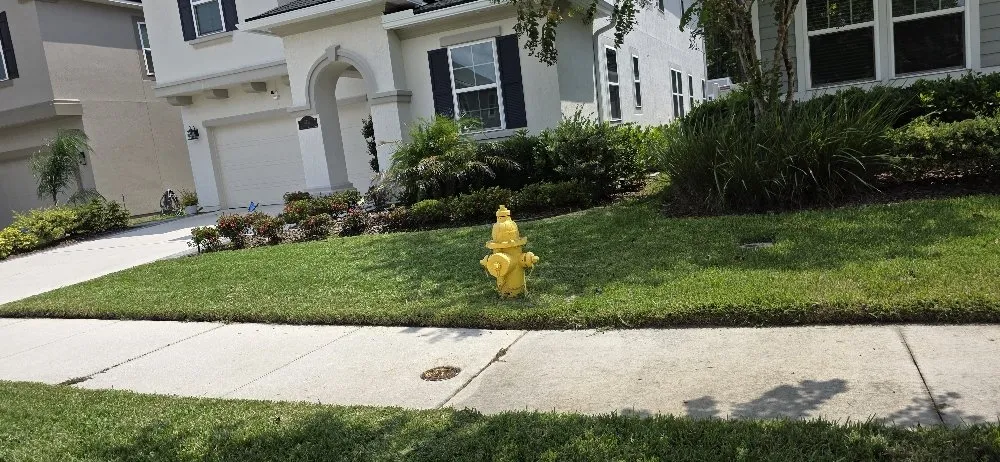 Reliable lawn mowing service experts serving Jacksonville, FL - Radiant Home & Yard Solution