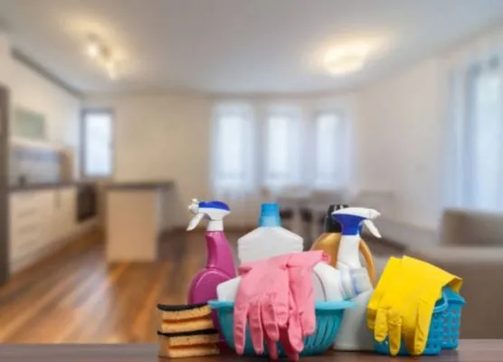 Radiant Home & Yard Solution Logo