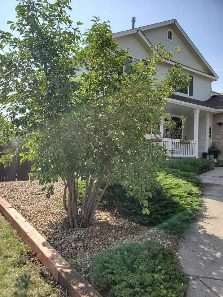 Reliable outdoor landscaping for outdoor upgrades across Johnstown, CO - Radiant Landscape Design & Build