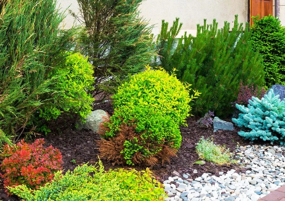Affordable landscape design in Johnstown, CO - Radiant Landscape Design & Build