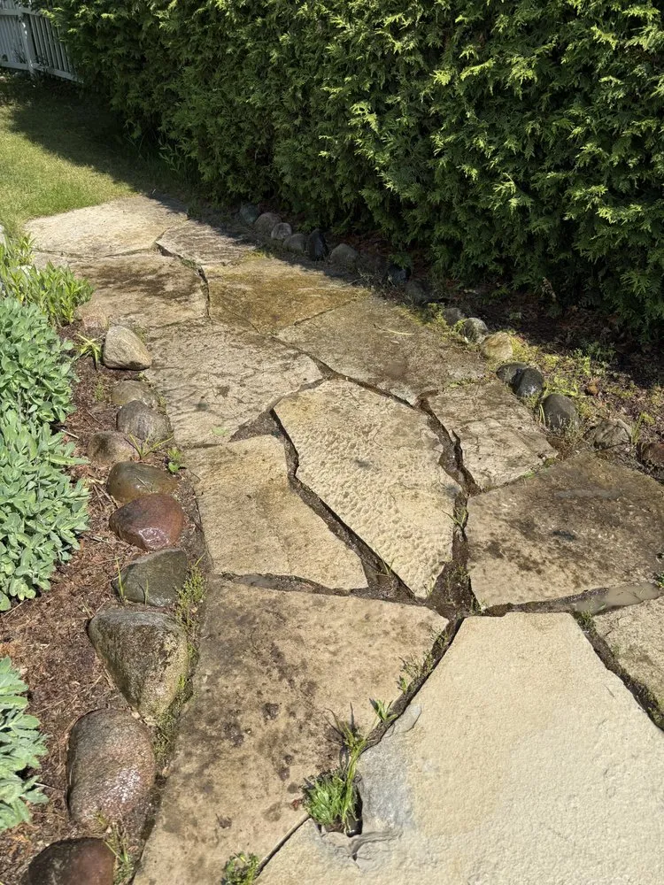 Local lawn care service in Elk Rapids, MI - Radiant Reflections