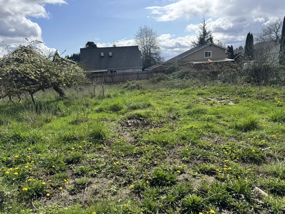 Professional landscape installation experts serving Longview, WA - Radillo’s Landscaping And More