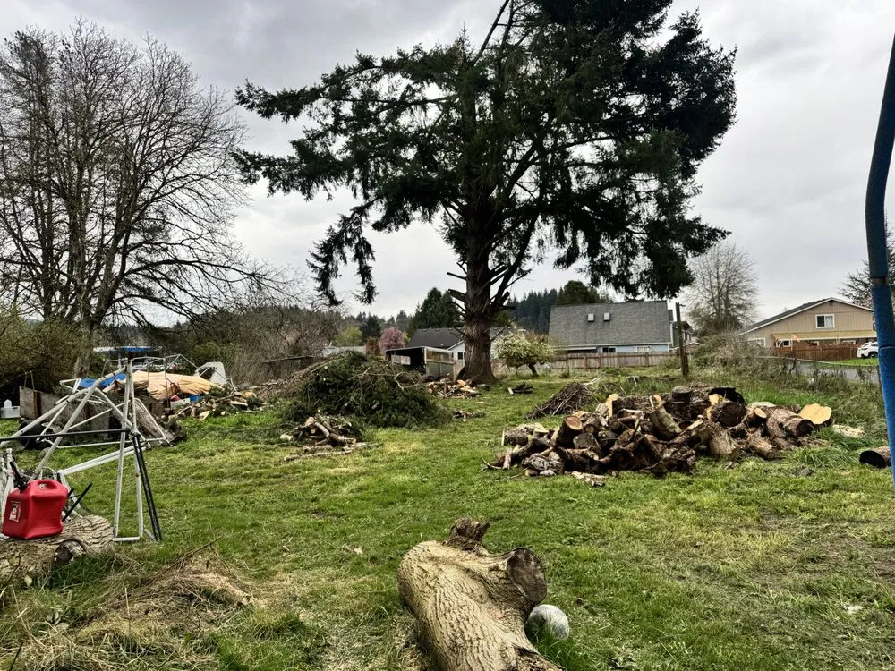 Top-rated yard cleanup service for homes in Longview, WA by Radillo’s Landscaping And More