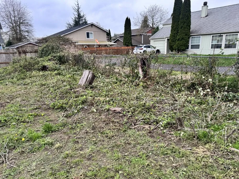 Expert outdoor landscaping in Longview, WA by Radillo’s Landscaping And More