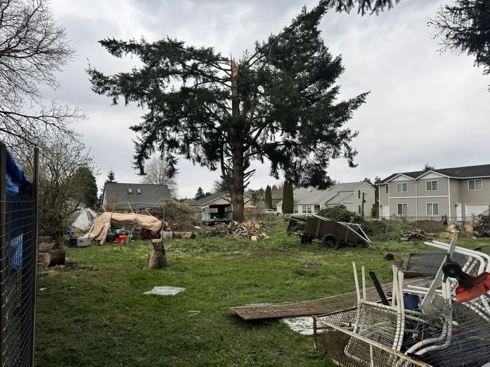 Expert yard maintenance for residential properties in Longview, WA by Radillo’s Landscaping And More