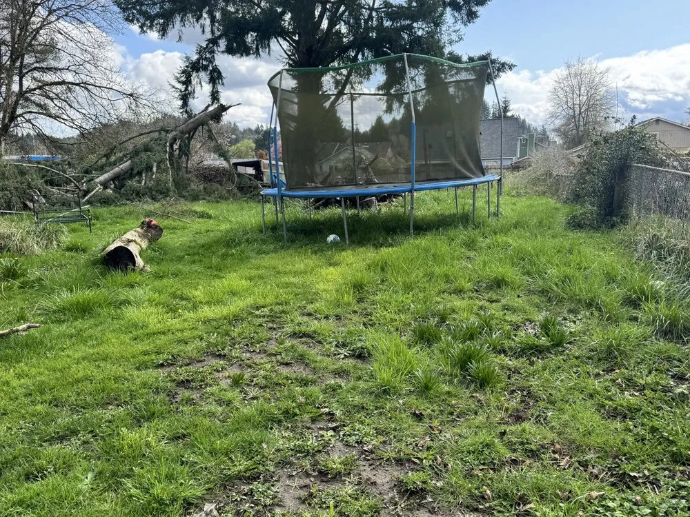 Top-rated residential landscaping in Longview, WA - Radillo’s Landscaping And More