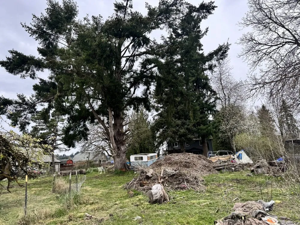 Expert outdoor landscaping in Longview, WA - Radillo’s Landscaping And More