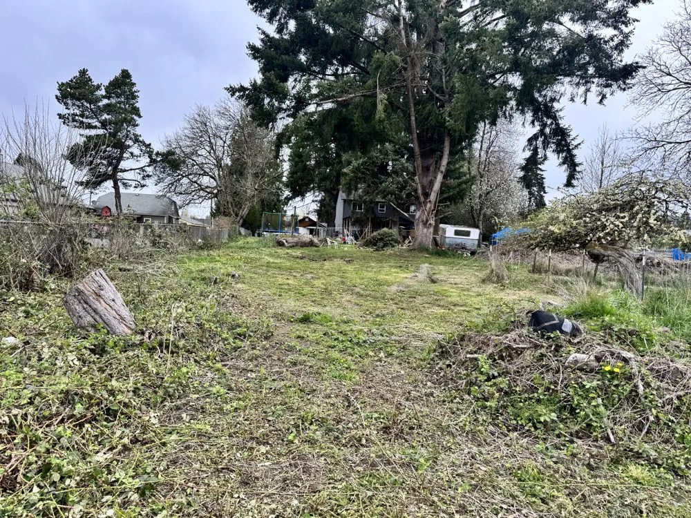 Local yard cleanup service near you across Longview, WA - Radillo’s Landscaping And More