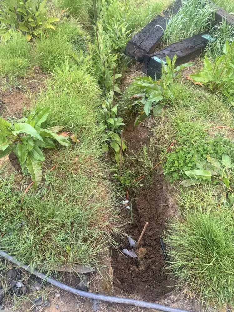 Professional landscape design with custom design in Longview, WA by Radillo’s Landscaping And More