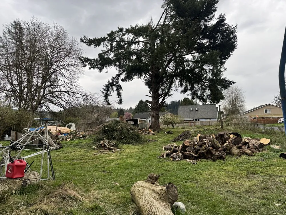 Expert yard cleanup service in Longview, WA by Radillo’s Landscaping And More