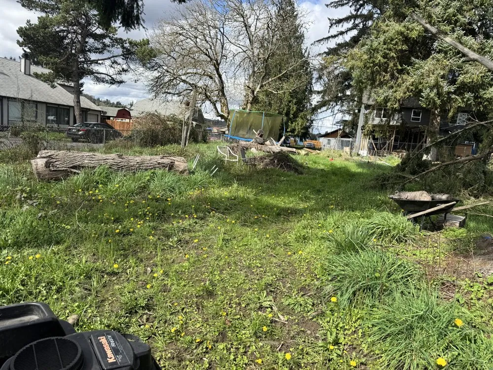 Affordable outdoor landscaping experts serving Longview, WA - Radillo’s Landscaping And More