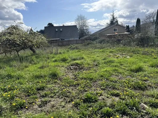 Radillo’s Landscaping And More Logo