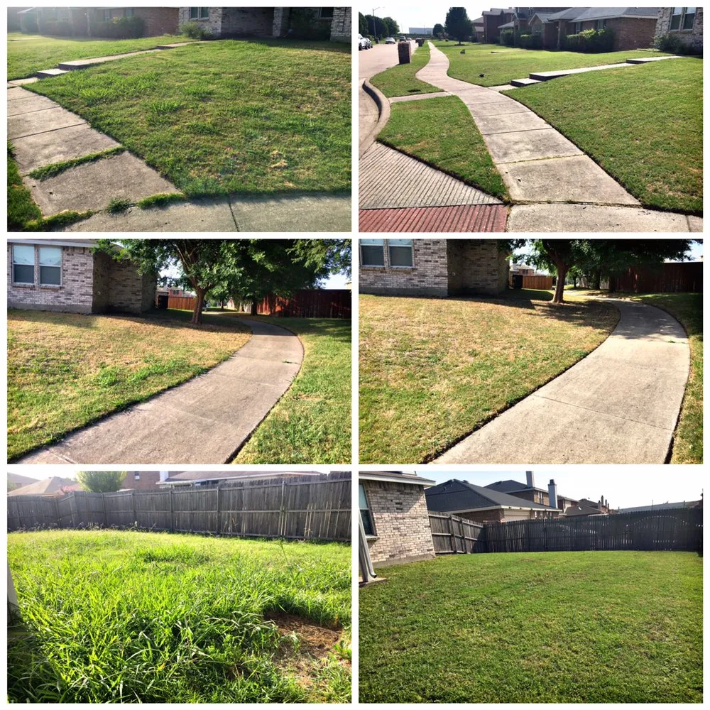 Reliable landscape installation experts serving Hutchins, TX - Radius Lawn Care