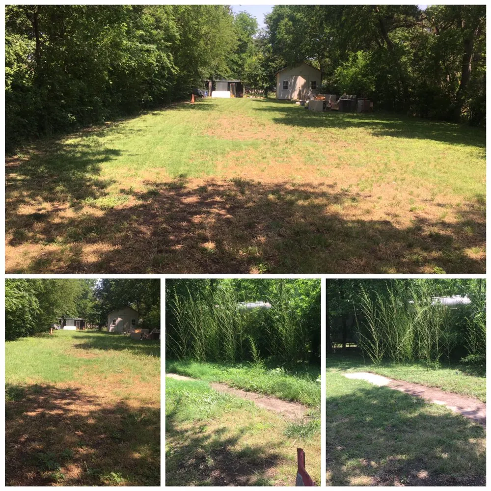 Reliable garden landscaping in Hutchins, TX - Radius Lawn Care