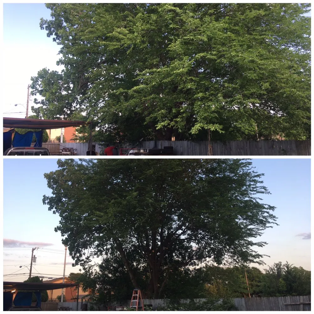 Expert garden landscaping near you in Hutchins, TX by Radius Lawn Care