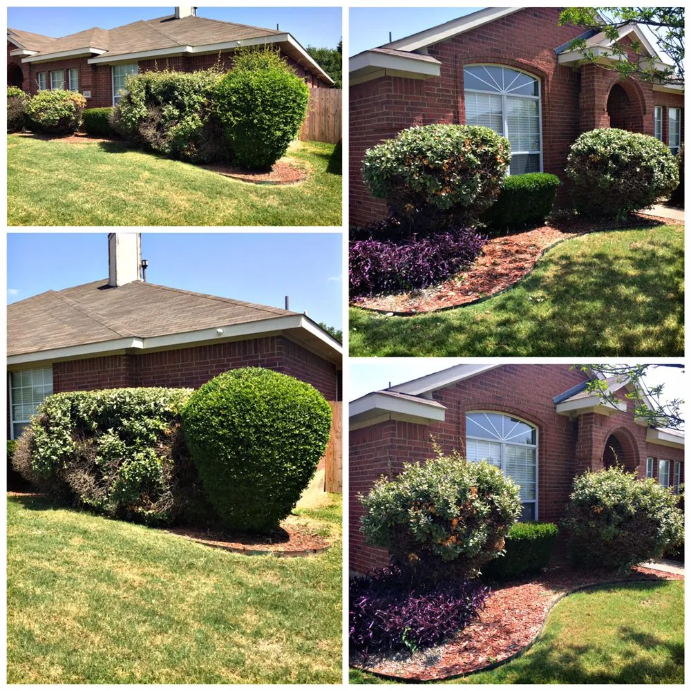 Top-rated residential landscaping experts serving Hutchins, TX - Radius Lawn Care