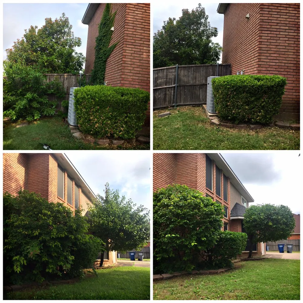 Top-rated landscape installation for outdoor upgrades across Hutchins, TX - Radius Lawn Care