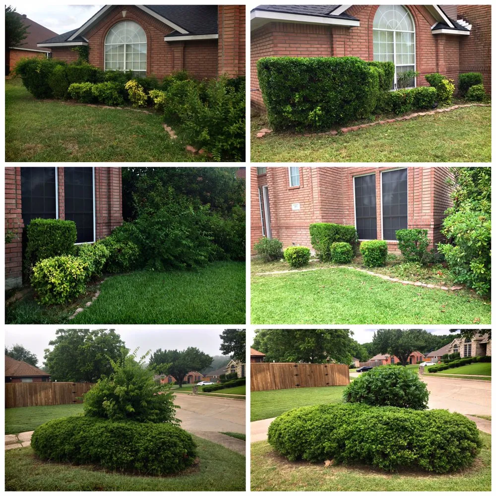 Reliable lawn mowing service in Hutchins, TX - Radius Lawn Care