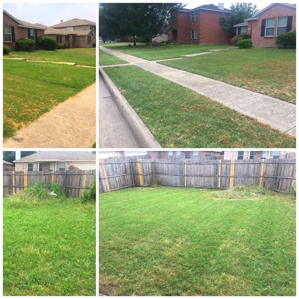 Custom garden landscaping experts serving Hutchins, TX - Radius Lawn Care