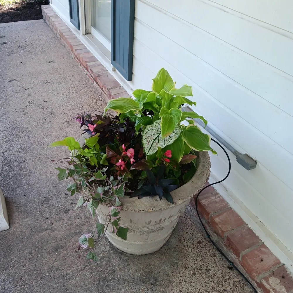 Local lawn care service in Memphis, TN - Radmer's Landscape Design