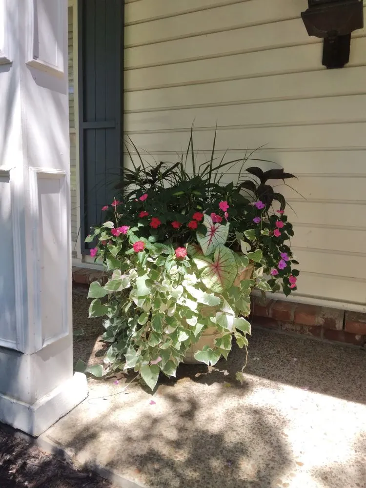 Top-rated lawn care service in Memphis, TN by Radmer's Landscape Design