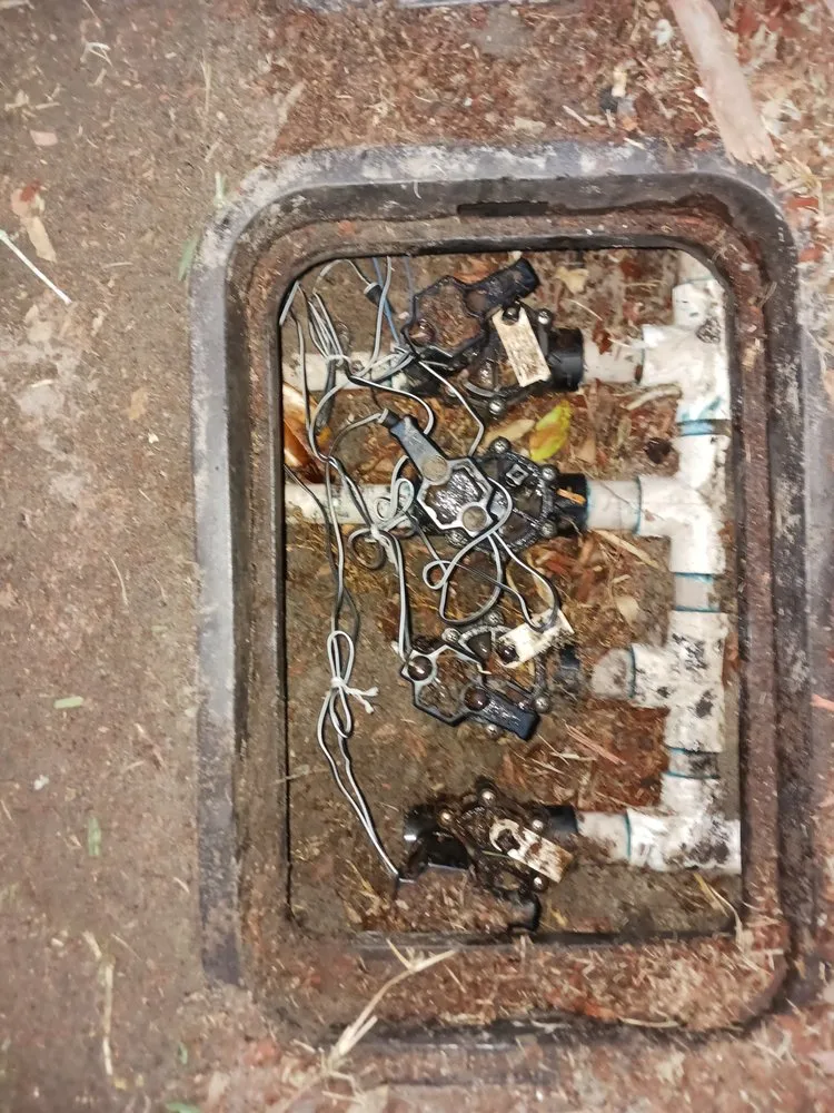 Custom outdoor landscaping near you in Lutz, FL by RaeJay's Landscape and Irrigation Restorations