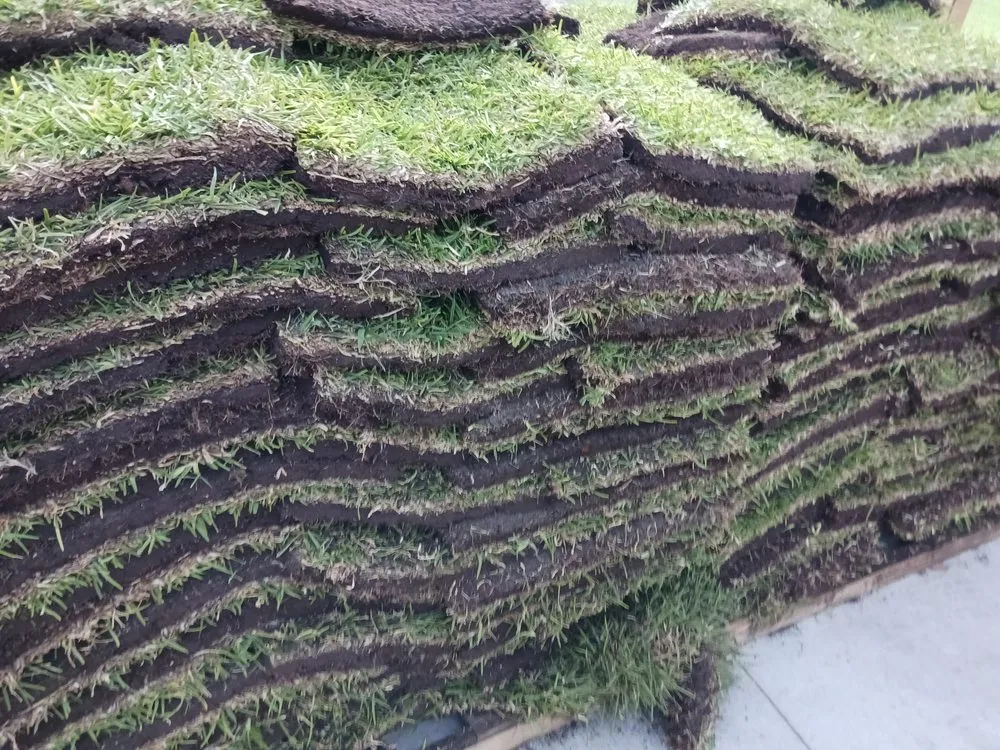 Reliable residential landscaping for beautiful yards across Lutz, FL - RaeJay's Landscape and Irrigation Restorations